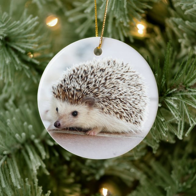 Ornamento De Cerâmica Pet Hedgehog (Árvore)