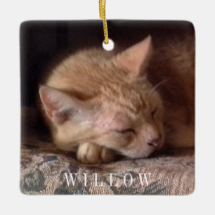 Ornamento De Cerâmica PET LOVE Cerâmica Square Ornament