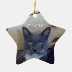 Ornamento De Cerâmica PET LOVE Cerâmica Star Ornament