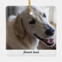 Pet Memorial Gift Dog Lover Para Sempre