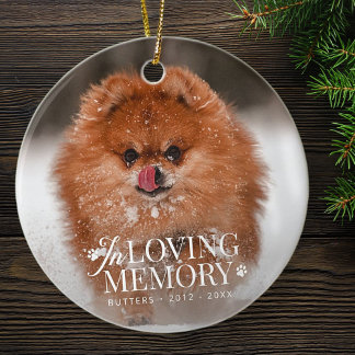 Ornamento De Cerâmica Pet Memorial In Loving Memory Modern Elegant Photo