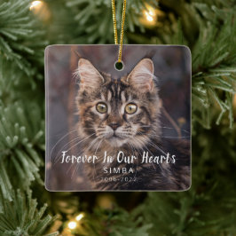 Ornamento De Cerâmica Pet Memorial Personalizado Cat Foto
