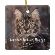 Pet Memorial Personalizado Cat Foto