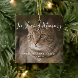 Ornamento De Cerâmica Pet Memorial Personalizado Cat Foto