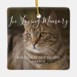 Ornamento De Cerâmica Pet Memorial Personalizado Cat Foto