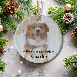 Ornamento De Cerâmica Pet Memorial Pet Perde Keepsasasaem Dog Foto Cera