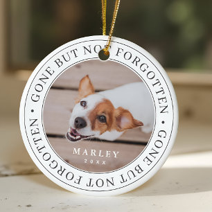Ornamento De Cerâmica Pet Memorial Saiu Mas Não Esqueceu Foto Moderna
