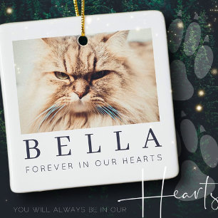 Ornamento De Cerâmica Pet Memorial Simple Modern Chic Family Foto