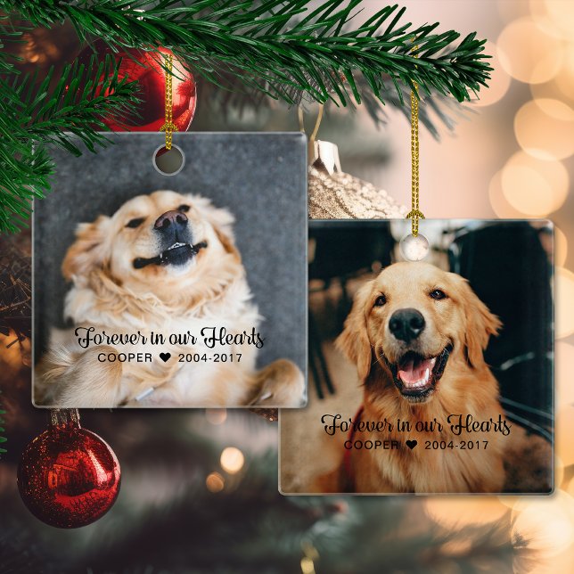 Ornamento De Cerâmica Pet Memorial Sympathy 2 Foto (Pet Memorial Sympathy 2 Photo Ceramic Ornament)