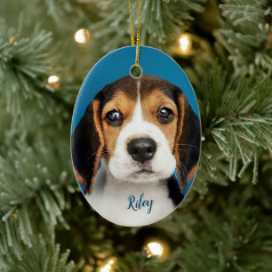 Ornamento De Cerâmica Pet Personalizado, Cão