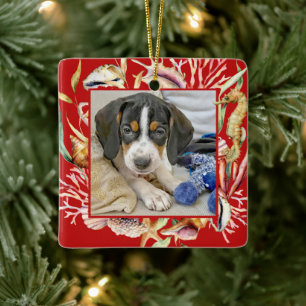 Ornamento De Cerâmica Pet Photo Beach, Natal personalizado