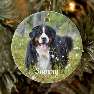 Ornamento De Cerâmica Pet Photo Dog Lover Personalizado
