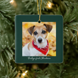 Ornamento De Cerâmica Pet Photo First Christmas Name