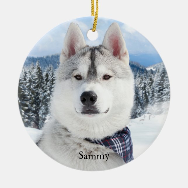 Ornamento De Cerâmica Pet Photo Name (Frente)