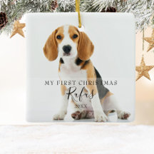 Pet Photos Modern Script Primeiro Natal