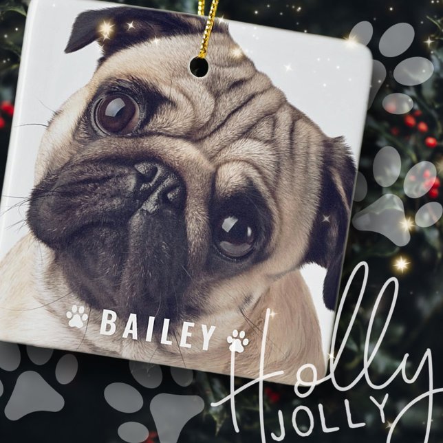 Ornamento De Cerâmica Pet Photos on Dog Paws Plate (Criador carregado)