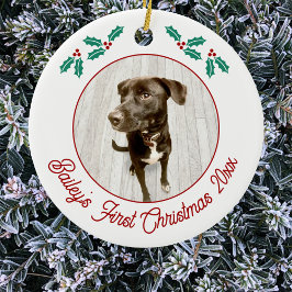 Ornamento De Cerâmica Pet Puppy Dog Personalizado Primeira Foto De Natal