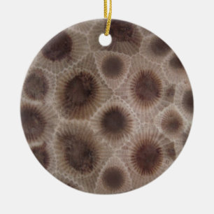 Ornamento De Cerâmica Petoskey Stone