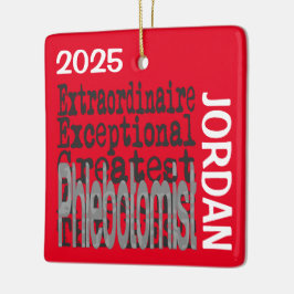 Ornamento De Cerâmica Phlebotomist Extraordinaire CUSTOM