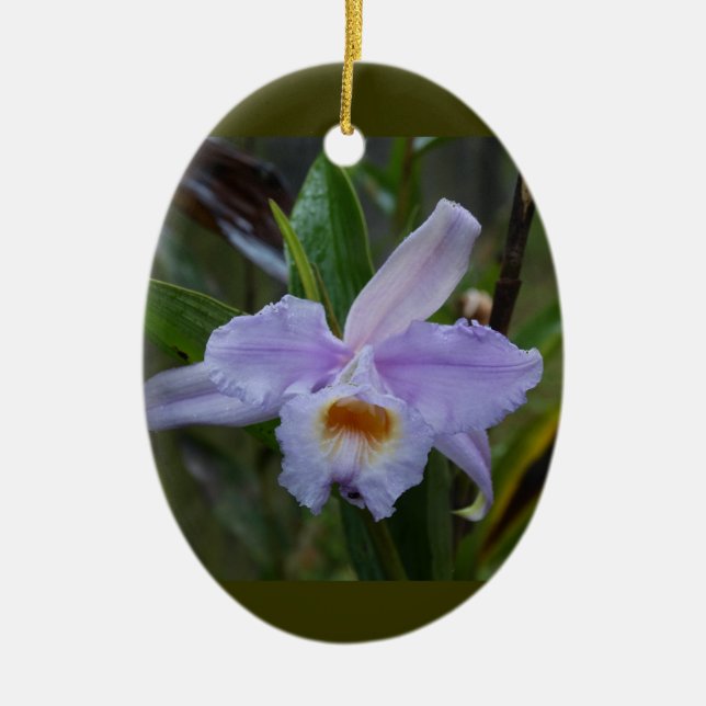 Ornamento De Cerâmica Photos (Frente)