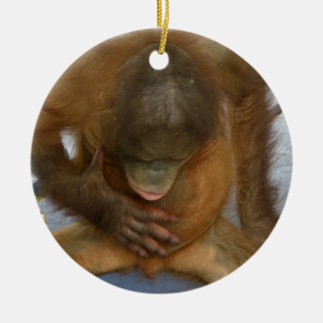 Ornamento De Cerâmica Piadas masculinas da anatomia (Frente)