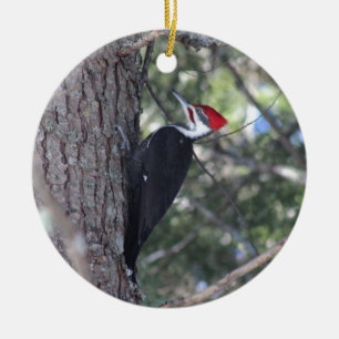 Ornamento De Cerâmica Pica-pau de Pileated