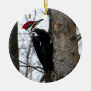 Ornamento De Cerâmica Pica-pau de Pileated