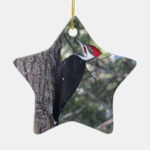 Ornamento De Cerâmica Pica-pau de Pileated