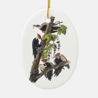 Ornamento De Cerâmica Pica-pau de Pileated por Audubon