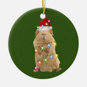 Ornamento De Cerâmica Pig De Guiné Com Luzes De Chapéu Natal