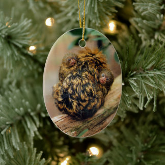 Ornamento De Cerâmica Pigmeus Marmoset com Gêmeos