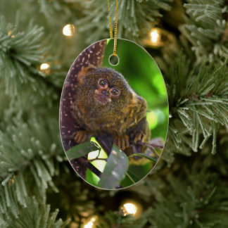 Ornamento De Cerâmica Pigmy Marmoset Magic