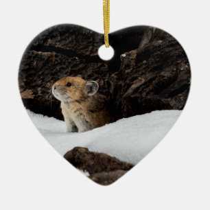 Ornamento De Cerâmica Pika Americana na Neve em Forma de Coração