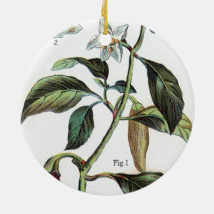 Ornamento De Cerâmica pimenta de caiena Flor