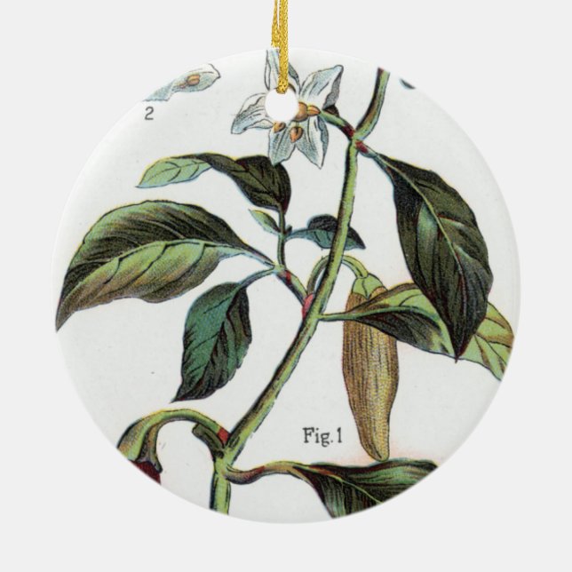 Ornamento De Cerâmica pimenta de caiena Flor (Traseira)
