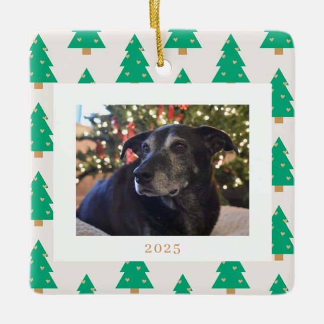 Ornamento De Cerâmica Pine Trees Holiday Photo (Frente)