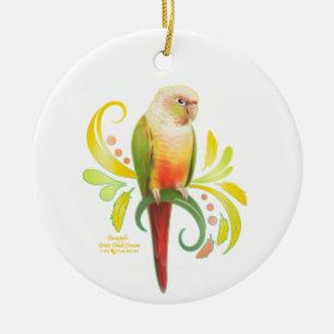 Ornamento De Cerâmica Pineapple Green Cheek Conure