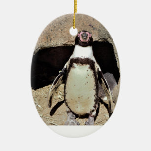 Ornamento De Cerâmica Pinguim