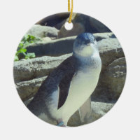 Pinguim