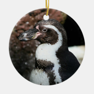 Ornamento De Cerâmica Pinguim