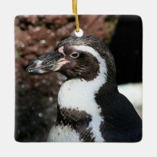 Ornamento De Cerâmica Pinguim