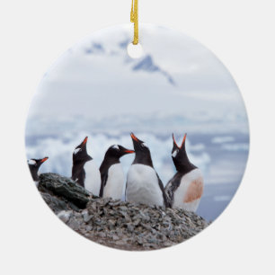 Ornamento De Cerâmica Pinguins na Antártica
