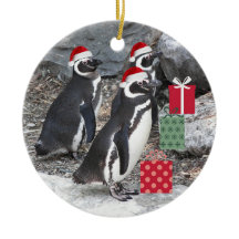 Pinguins Vestindo Férias Red Santa Hats