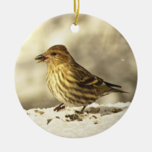 Ornamento De Cerâmica Pinho Siskin