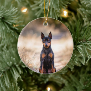 Ornamento De Cerâmica Pinscher Miniatura Sentado