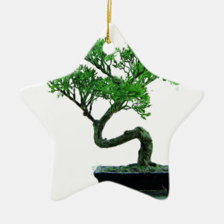 Ornamento De Cerâmica pintura da bonsai-árvore