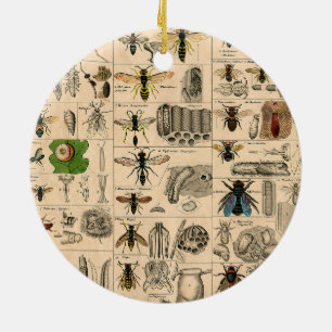 Ornamento De Cerâmica Pintura De Abelhas Insetos Insetos Vaza Natureza N