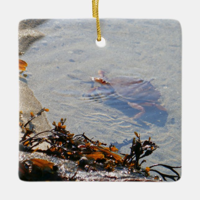 Ornamento De Cerâmica Piscina de maré na Praia de Areia (Frente)