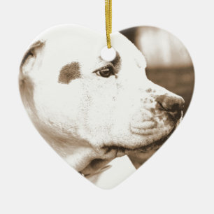 Ornamento De Cerâmica pitbull cachorro sepia cor ódio ato não se reprodu
