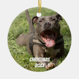 Ornamento De Cerâmica Pitbull Castanho Editável Em Grama